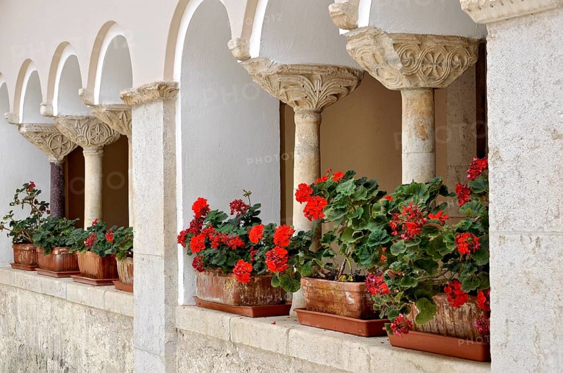 Columns with capitals, ornamental crutch capitals from the 10th and 11th centuries, flower boxes with geraniums (Geranium L.), round arches in the cloister of St Anne, Benedictine Abbey of Montecassino, Monte Cassino, Cassino, Frosinone, Lazio, Italy