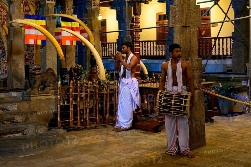 Temple of the sacred Tooth Relic or Sri Dalada Maligawa, Drummer and musician in front of the Holy Shrine, Kandy, Sri Lanka