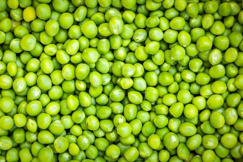 Close-up of fresh green peas (Pisum sativum) lying close together