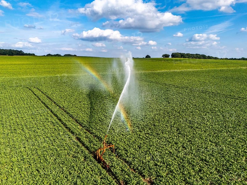Artificial irrigation with a sprinkler system in a field where sugar beet is grown, near Rheurdt, on the Lower Rhine, Regenbogen, North Rhine-Westphalia, Germany