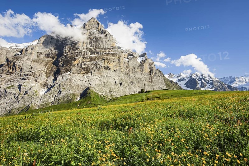 Wetterhorn, Bernese Oberland, Switzerland