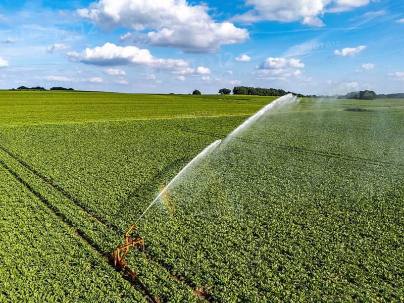 Artificial irrigation with a sprinkler system in a field where sugar beet is grown, near Rheurdt, on the Lower Rhine, North Rhine-Westphalia, Germany