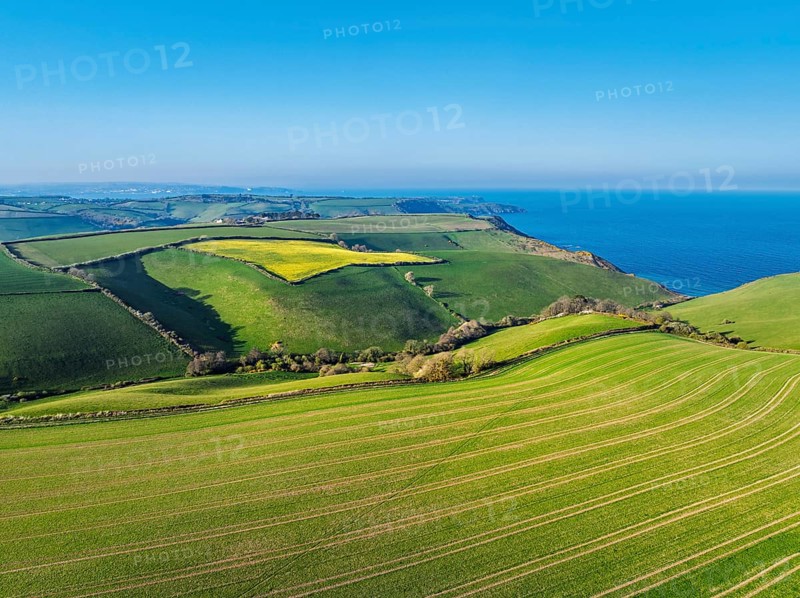 Farms and Fields over Brixham and Kingswear from a drone, Devon, England, United Kingdom