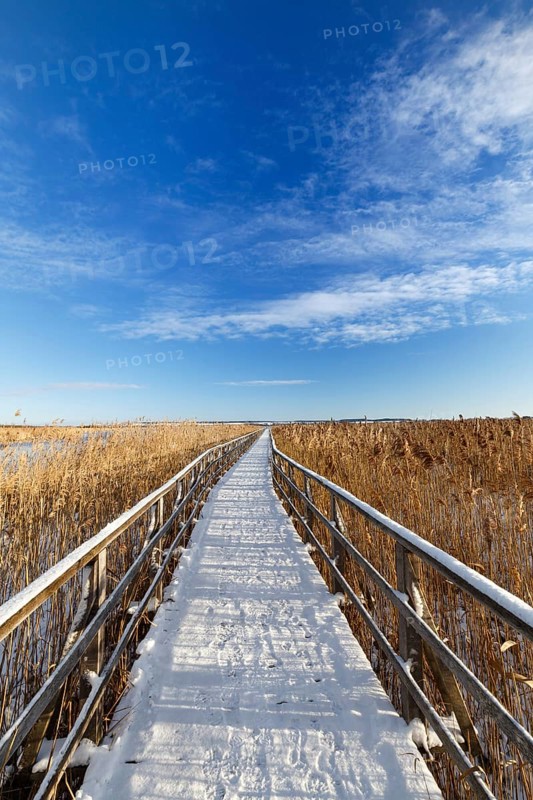 jetty to a boathouse at the federsee in Germany