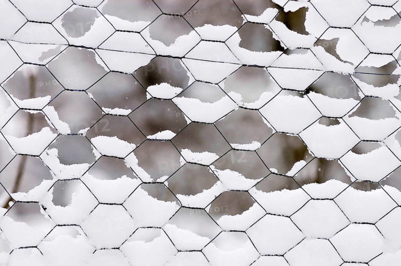 Fence with snow, North Rhine-Westphalia, Germany, wire fence, wire mesh fence