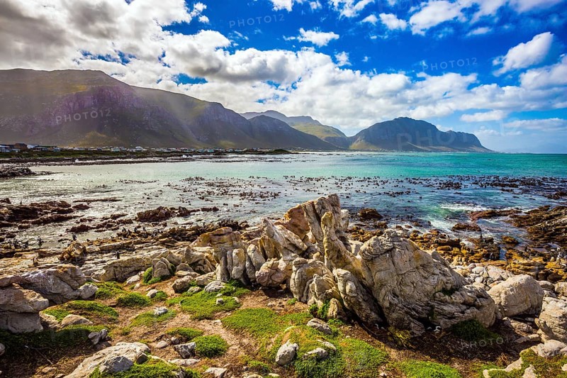 The azure water, boulders and algae of the Atlantic. Surroundings of Cape Town. Boulders Penguin Colony National Park, South Africa. The concept of ecotourism