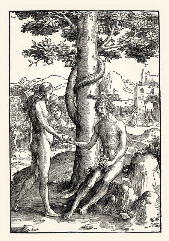 Lucas von Leyden, The Fall from Grace, Der Sündenfall, 16th century, by Lucas van Leyrlen, facsimile of the 19th century