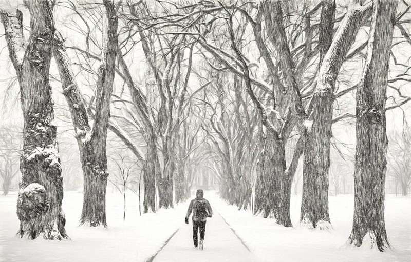 Lonely male figure walking in a blizzard - alley of old elm trees - historical Oval at Colorado State University campus, Fort Collins, a photo with digital painitng filter (charcoal)