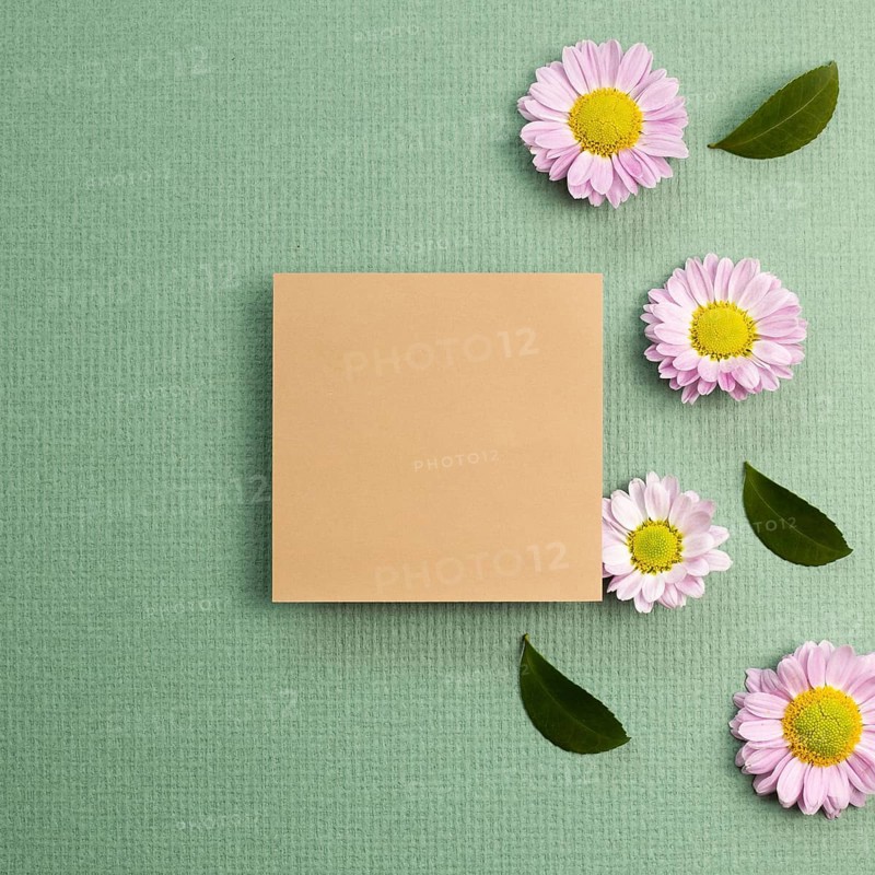 Blank memo pad with pink small flowered chrysanthemum on green background. flat lay, top view, copy space