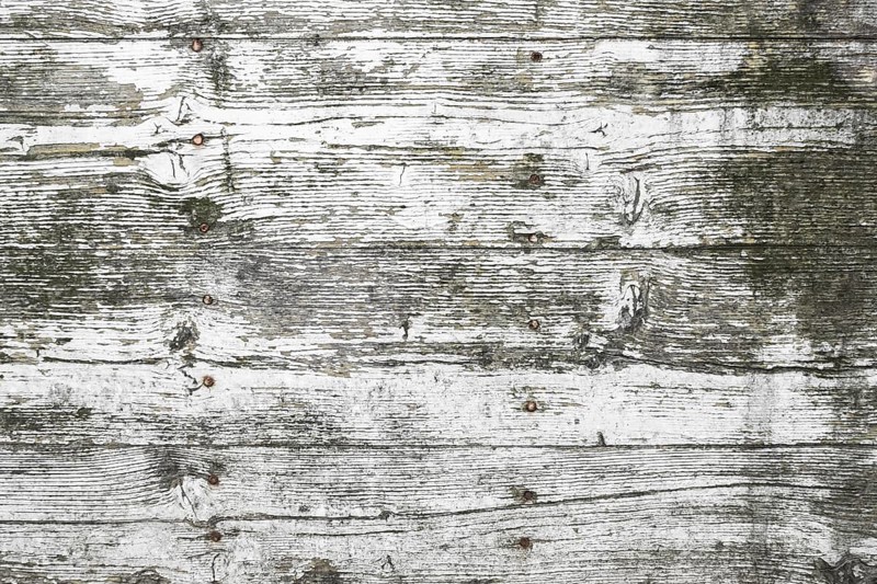 White wood texture, with traces of peeling and mold. Ideal for textures, backgrounds and concepts