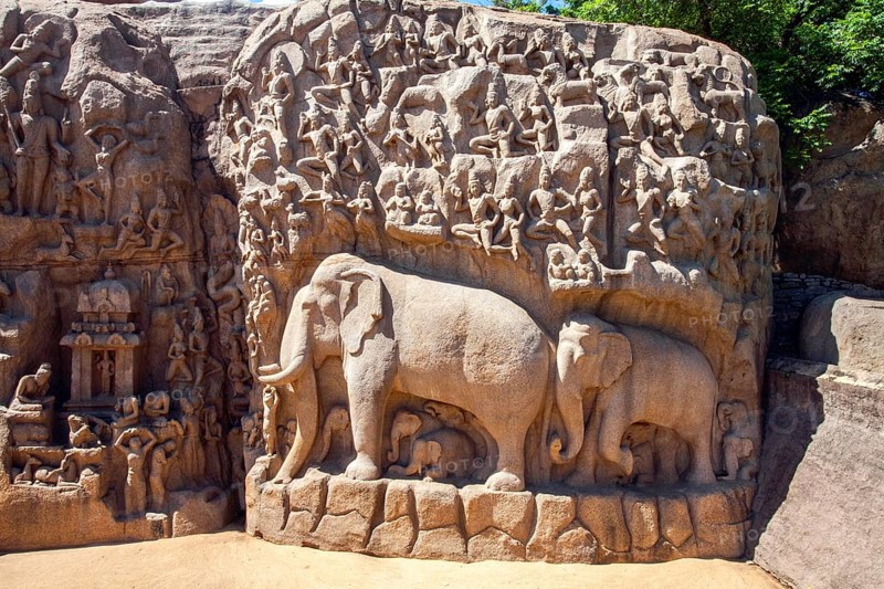 Elephant carved wall, mahabalipuram temple, tamilnadu, india, asia
