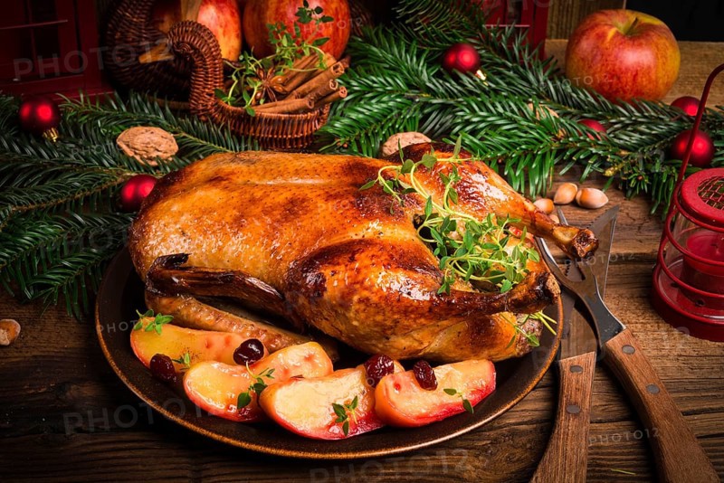 Christmas duck