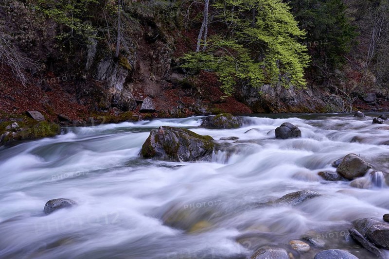 Lieser river in spring, Carinthia, Austria