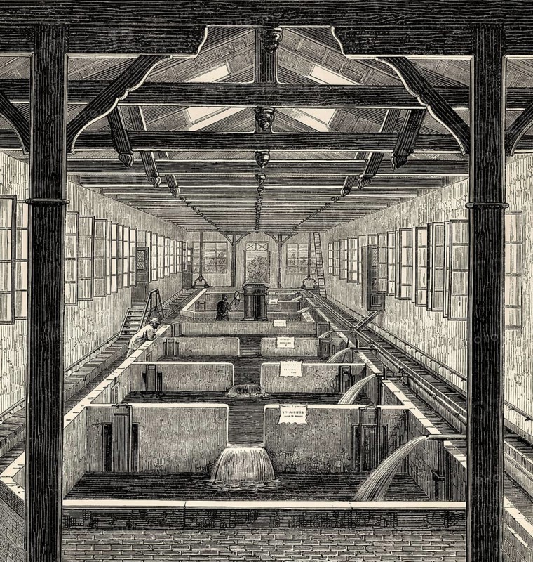 Fish farming at Huningue, Haut-Rhin department, Alsace, France, 19th century