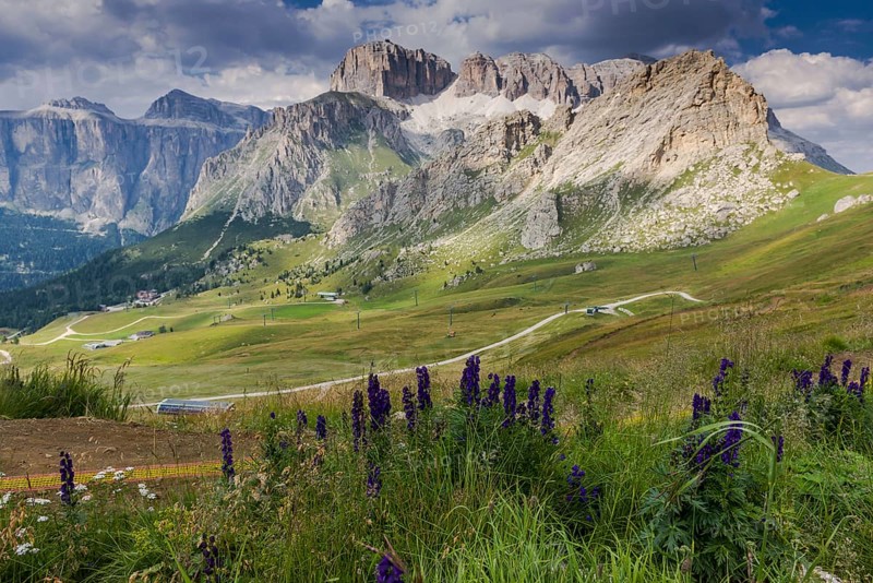 View over the meadows and the flowers in the Sella Group