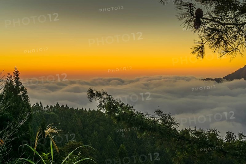 Sunset, fog in the valley, mountain landscape, low mountain range southwest of Alishan Township, Chiayi County, Taiwan