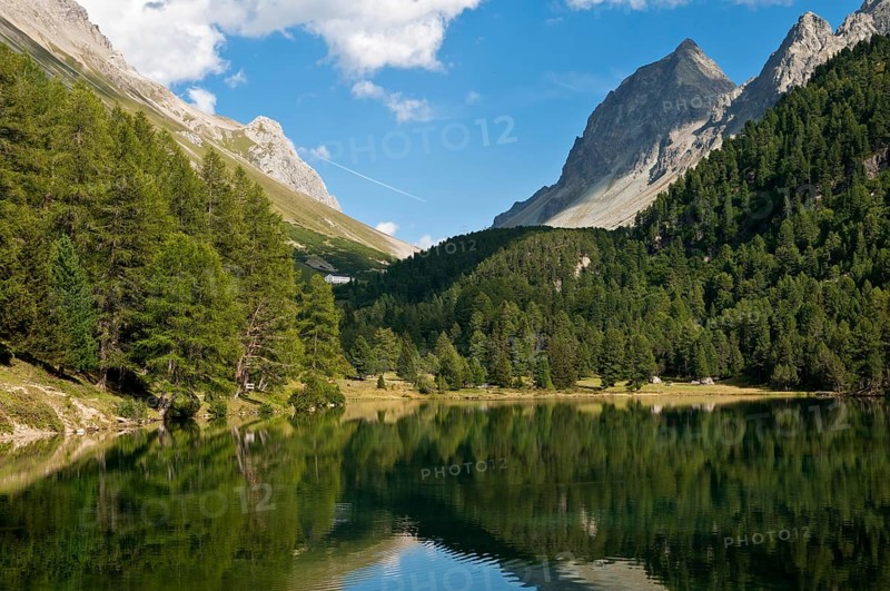 Der Palpuognasee (romanisch Lai da Palpuogna) ist ein See im Kanton Graubünden in den schweizerischen Alpen. Er liegt auf 1'918 m ü. M. oberhalb von Preda. Die Bedeutung des Namens Palpuogna ist nicht bekannt, gilt aber als ältester überlieferter Name im Zusammenhang mit der Geschichte von Bergün und wird bereits im Jahr 1139 im Zusammenhang mit der Abgrenzung des bischöflichen Gebiets erwähnt. Der See liegt etwa acht Kilometer oberhalb Bergün auf einer markanten Talstufe am Fuss des Piz Palpuogna und ist über die Albula-Passstrasse leicht zu erreichen. Die rechte Talseite wird markiert durch Piz Üertsch und Piz Muot. Vom See bis zum Albulapass sind es ungefähr fünf Kilometer. Das Wasser des Sees mit seinen klaren blau-grün Tönen bietet vor allem im Herbst, wenn die ihn umgebenden Lärchen gelb sind, ein einmaliges Farbenspiel.Im Juni 2007 wurde der See in einer Umfrage von SF 1 zum schönsten Flecken der Schweiz gewählt, Switzerland