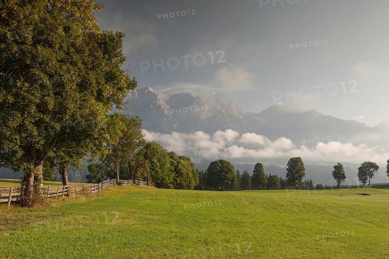 On pasture in the mountains