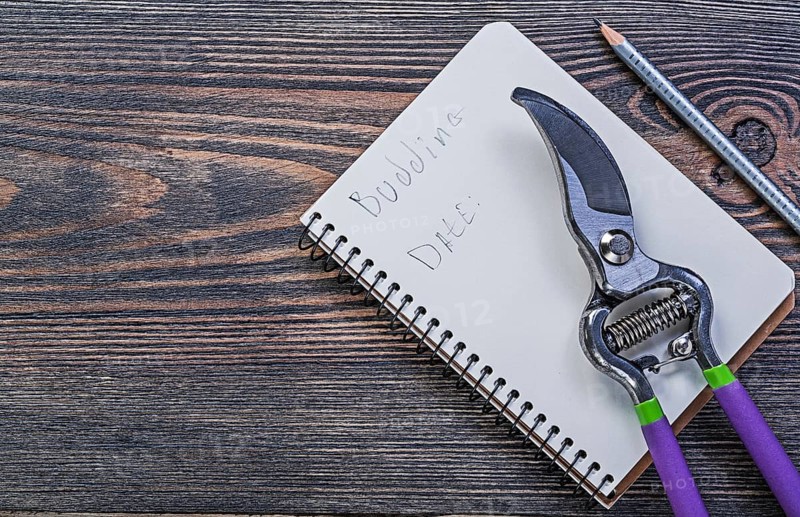 Notepad pencil secateurs on vintage wooden board gardening concept