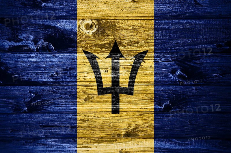 Barbados flag on wooden planks background wood flag