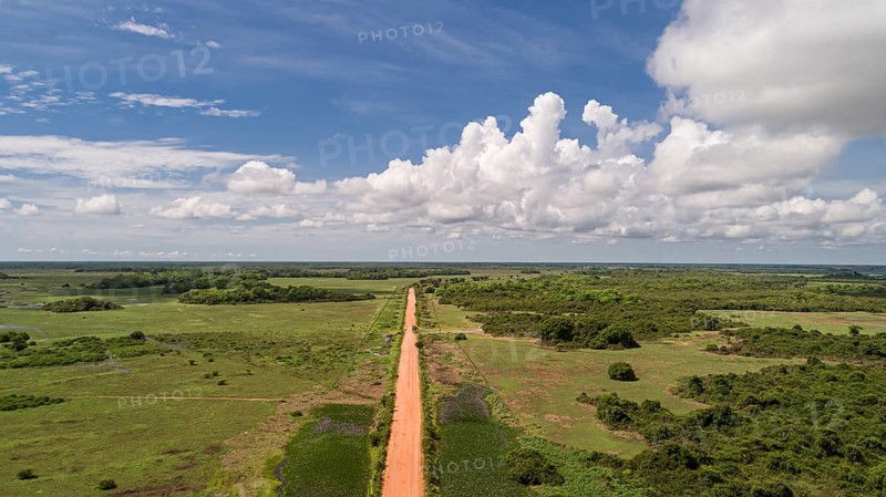 Aerial view of Transpantaneira dirt road crossing straight the North Pantanal Wetlands, blue horizon with white clouds, Mato Grosso, Brazil