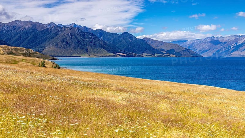 An image of the lake Wanaka, New Zealand south island