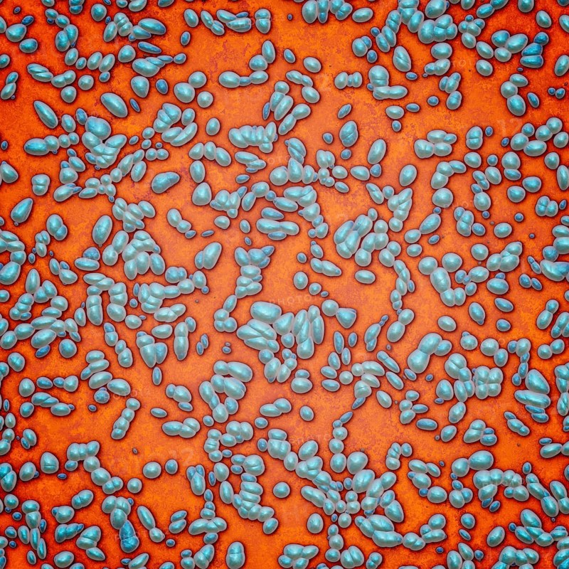An illustration of a blue orange bacteria background