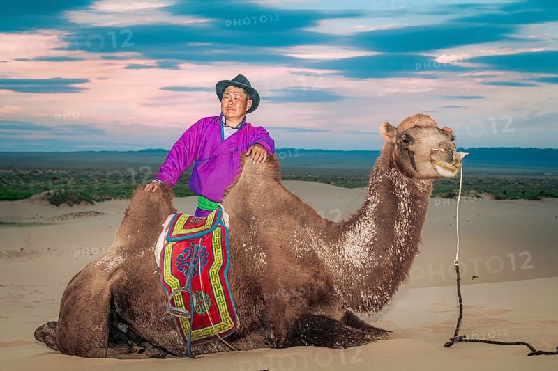 Gobi Herder