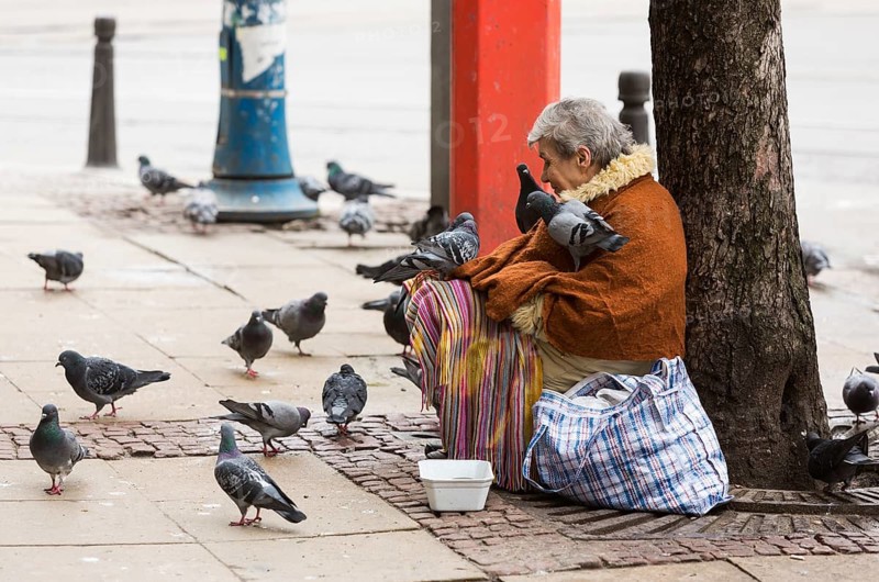 Sofia, Bulgaria - February 27, 2016: A homeless beggar woman is covered by pigeons while begging at a street in Sofia. Bulgaria is still the poorest EU country