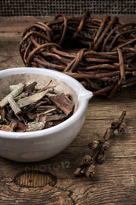 Medicinal licorice rolled in coil and aspen bark on wooden background.selective focus