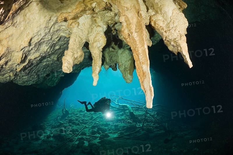 Diver in Car Wash Cenote Aktun Ha, Tulum, Yucatan Peninsula, Mexico