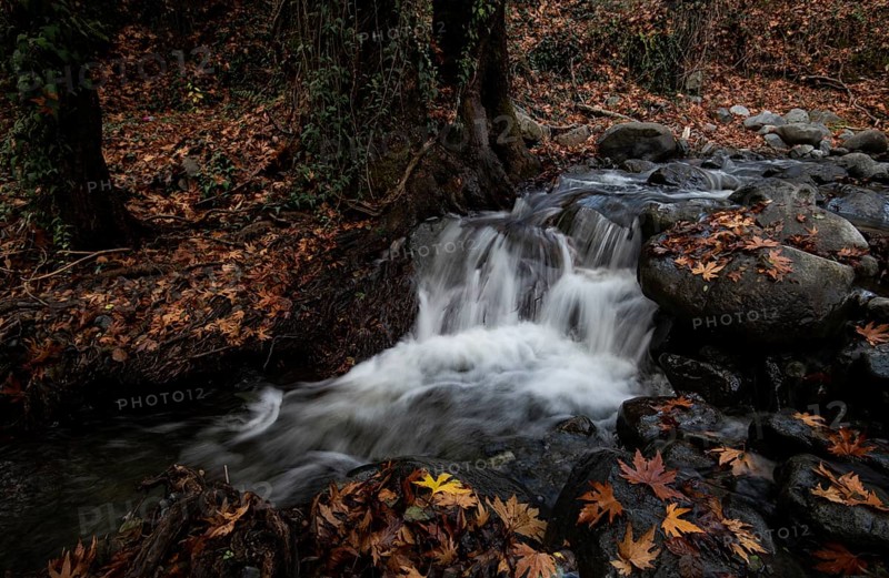 River flowing with maple leaves on the rocks on the riverside in Autumn. Millomery waterfall Troodos Cyprus