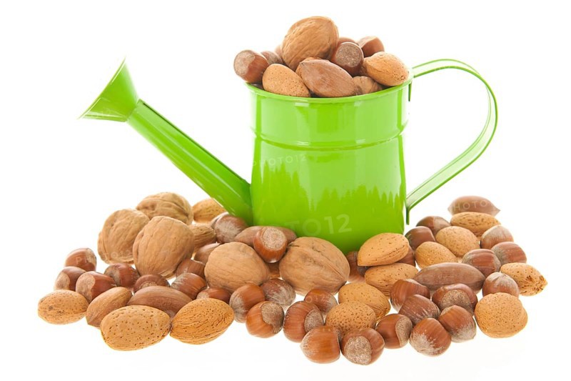 Watering can with assortment nuts isolated over white background