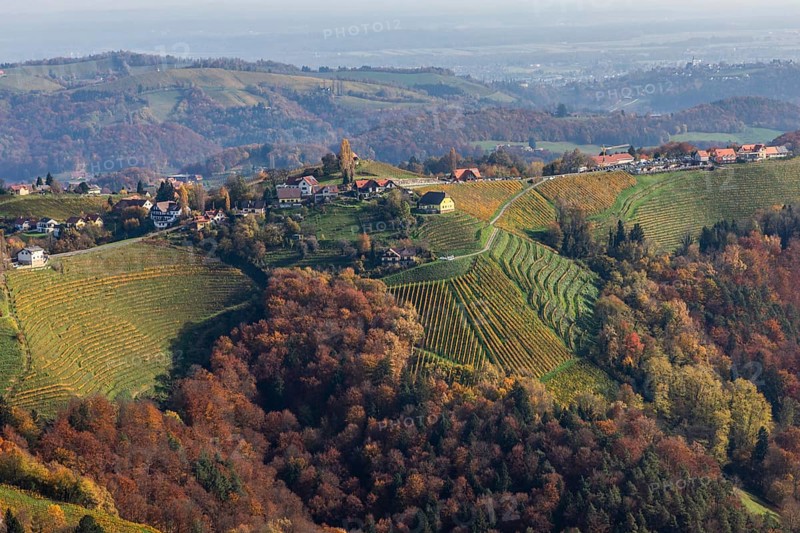 Autumn atmosphere, forest with foliage colouring, hilly landscape, vineyards, view from the Demmerkogel lookout point, St. Andrä-Höch, Sausal wine country, Styria, Austria