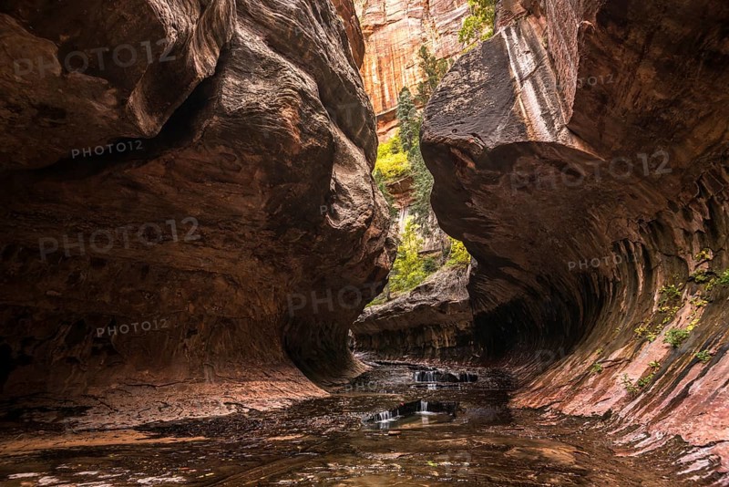 Magnificent Subway gorge landmark in the Zion National Park in Utah, USA