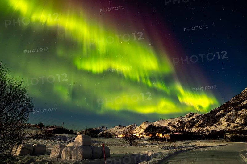 Northern Lights on the E10, Lofoten, Nordland, Norway