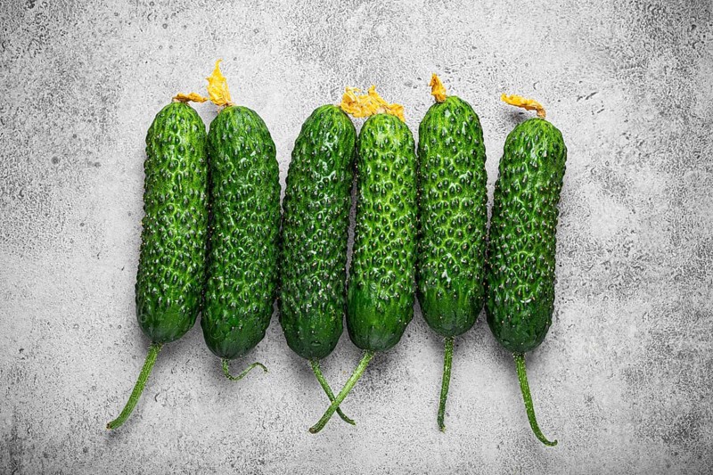 Fresh raw organic farmer cucumbers with leafs arranged on grey rustic stone background top view, healthy cucumbers in balanced nutrition and cooking concept, food photography, food photography