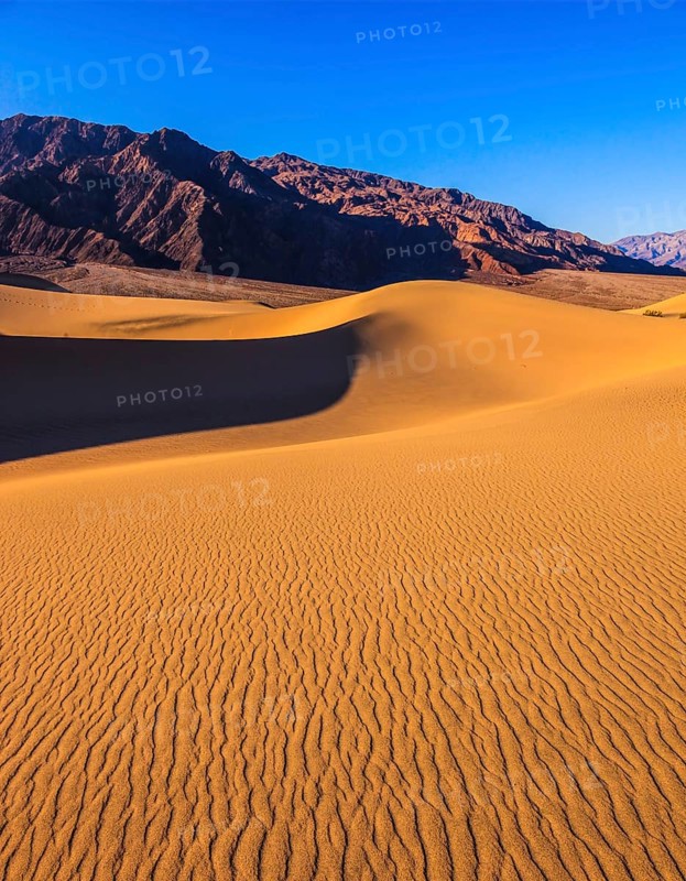 Bright solar morning in picturesque part of Death Valley. Gentle slopes of sandy barkhans shine orange light. Mesquite Flat Sand Dunes