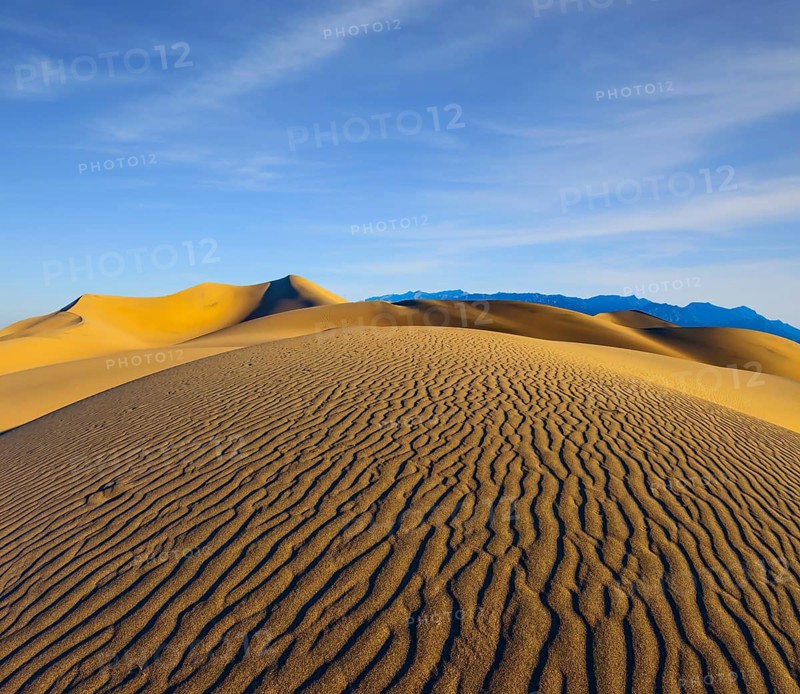 Early morning, sunrise in Death Valley, California. Magnificent sandy waves on dunes