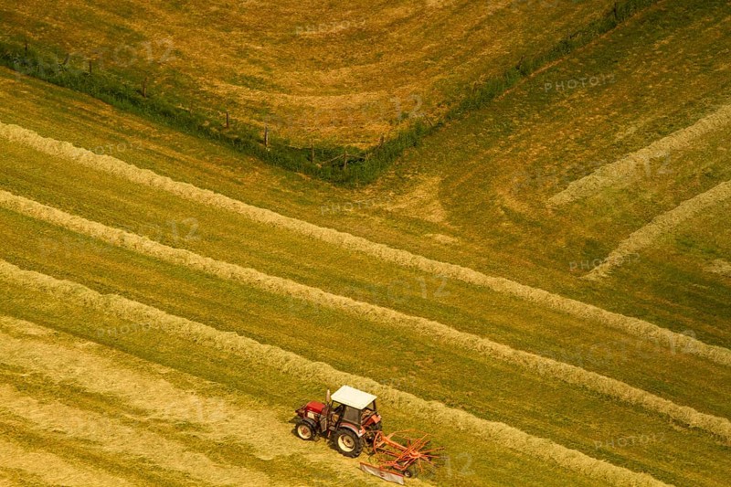 Agriculture, Farm with a tractor on a field, Diagonals, Field, Fields