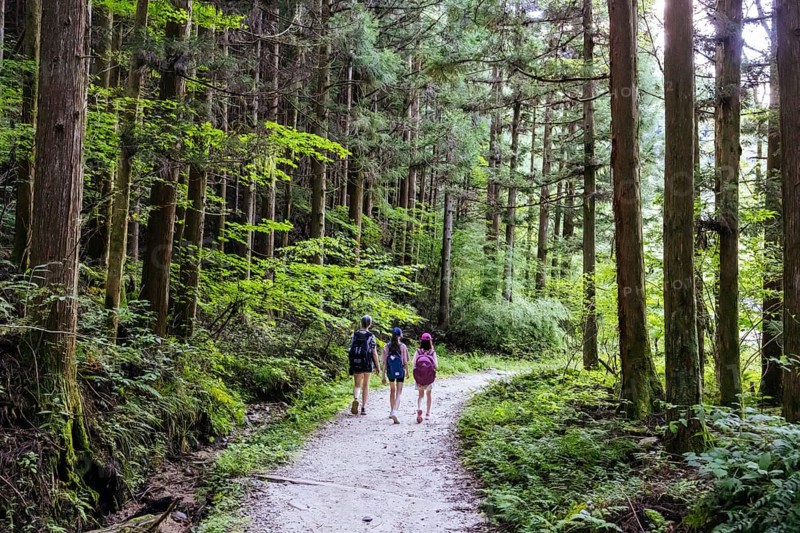 Hiking path landscape on the famous Magome-Tsumago Trail as part of the Nakasendo Way between Magome and Tsumago in Gifu Prefecture, Japan