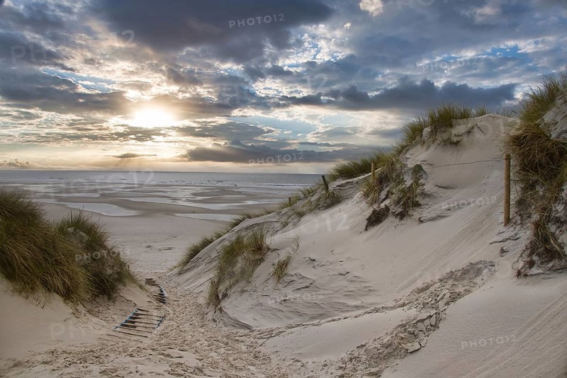 Amrum1_63A7979.jpeg