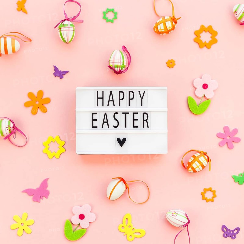 Creative Top view flat lay holiday composition Happy Easter text on lightbox pink paper background copy space Template Easter day seasonal pattern