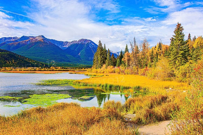 Small swamp on the shores of Lake Vermillon. The water is covered in green mud. Indian summer in the Rocky Mountains. The smooth water of Lake Vermillon. Canada