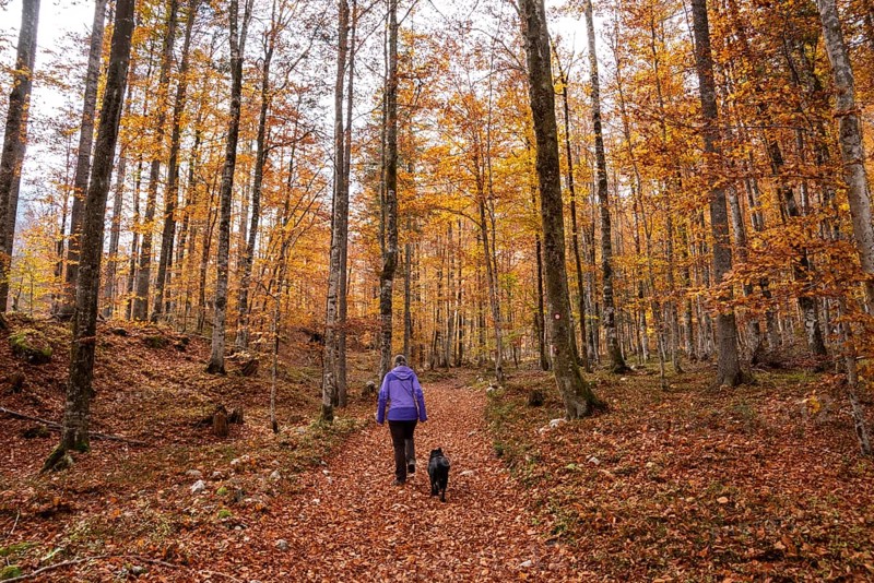 Hiking through the Vrata valley in autumn, Triglav National Park in the Julian Alps, Slovenia