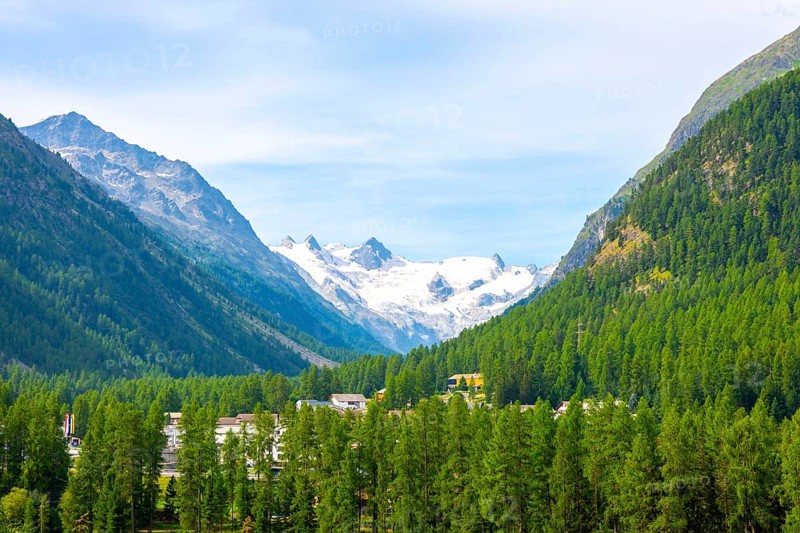 Beautiful View over the Swiss Alps with Glacier Morteratsch, Piz Bernina (4, 049 m), Piz Palü (3, 901 m), Piz Roseg (3, 937 m) and Bellavista in a Sunny Summer Day in Pontresina, Maloja, Grisons, Switzerland.