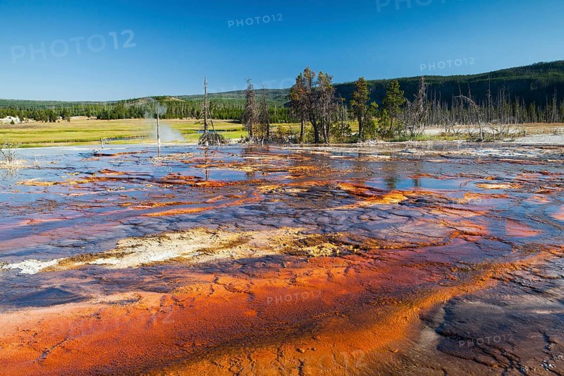 Geothermal landscape in Yellowstone National Park