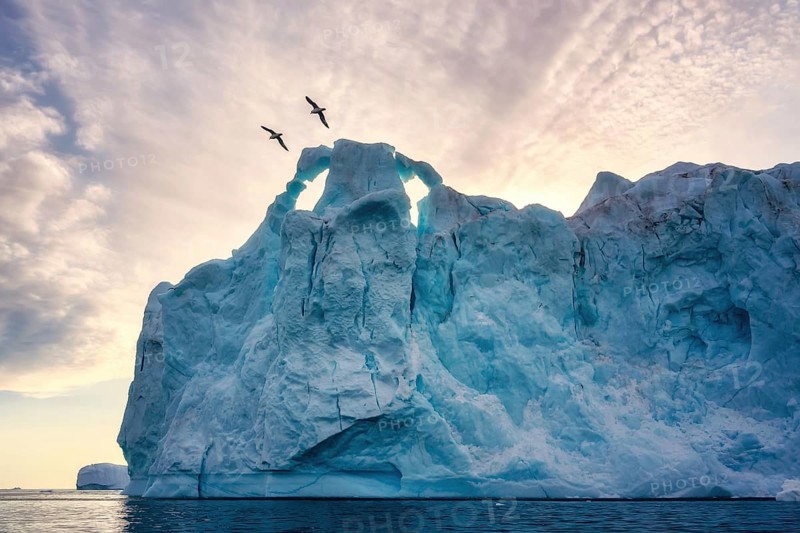 Greenland Ilulissat glaciers at ocean at polar night with birds