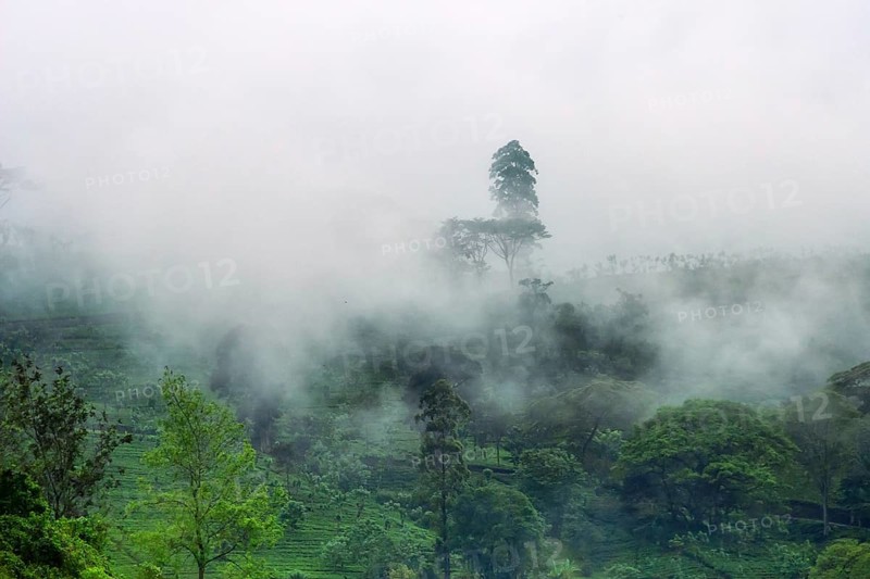 Central plateau in Sri Lanka. The cloudy mountains are covered with meadows and rain forest and alternate with mountain villages and tea plantations. Dark winter day