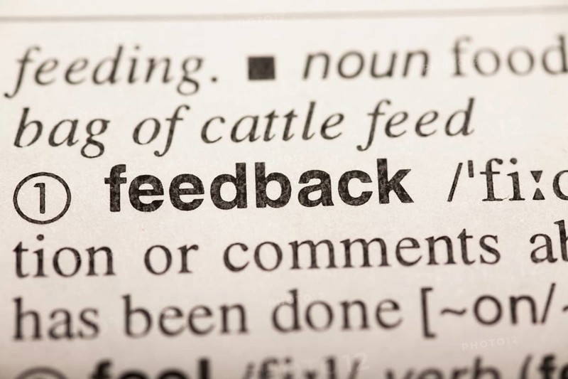 Feedback, word in dictionary. macro shot. selective focus